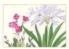 36 photo36_small.jpg